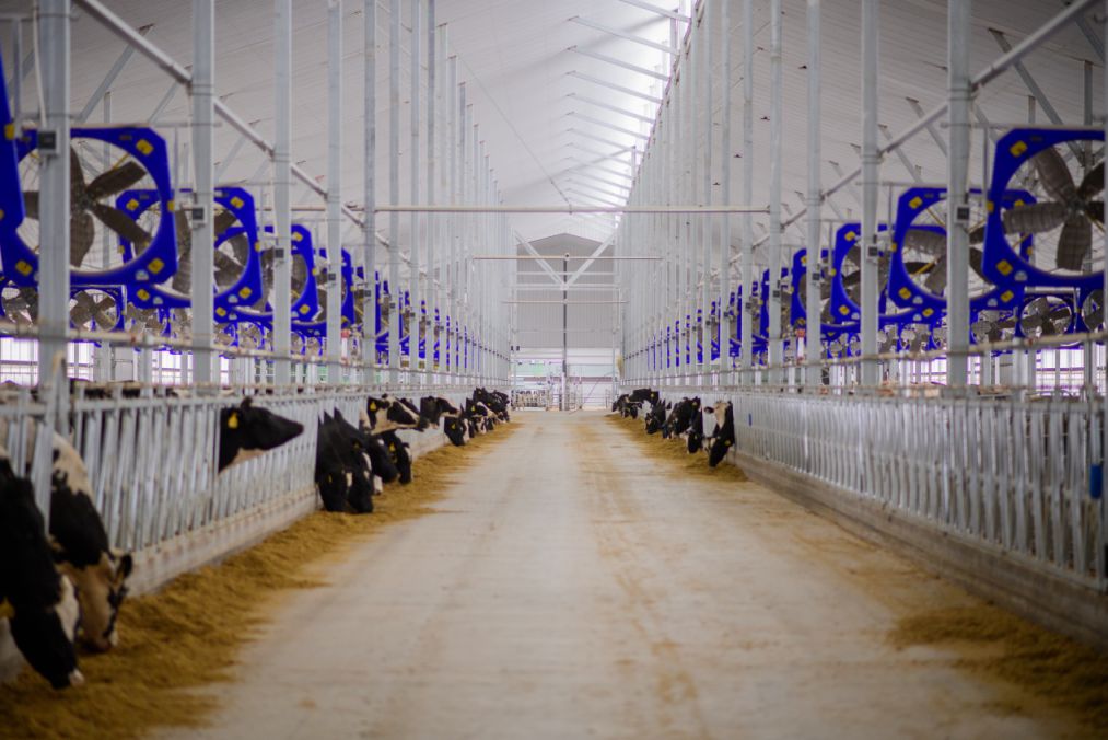 現(xiàn)代牧業(yè)（烏拉特前旗）有限公司新建牧場項(xiàng)目